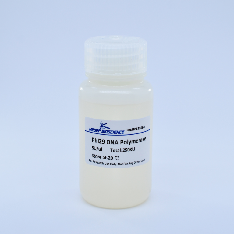 Phi29 DNA Polymerase Tinzyme