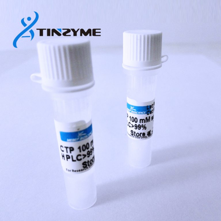 GTP 100mM solution – Tinzyme