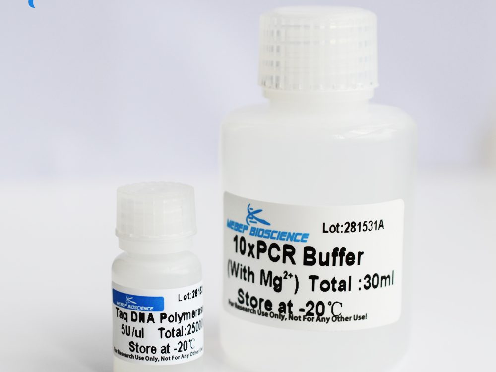 Taq-DNA-Polymerase