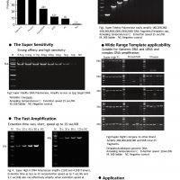 Super-Fidelity-polymerase