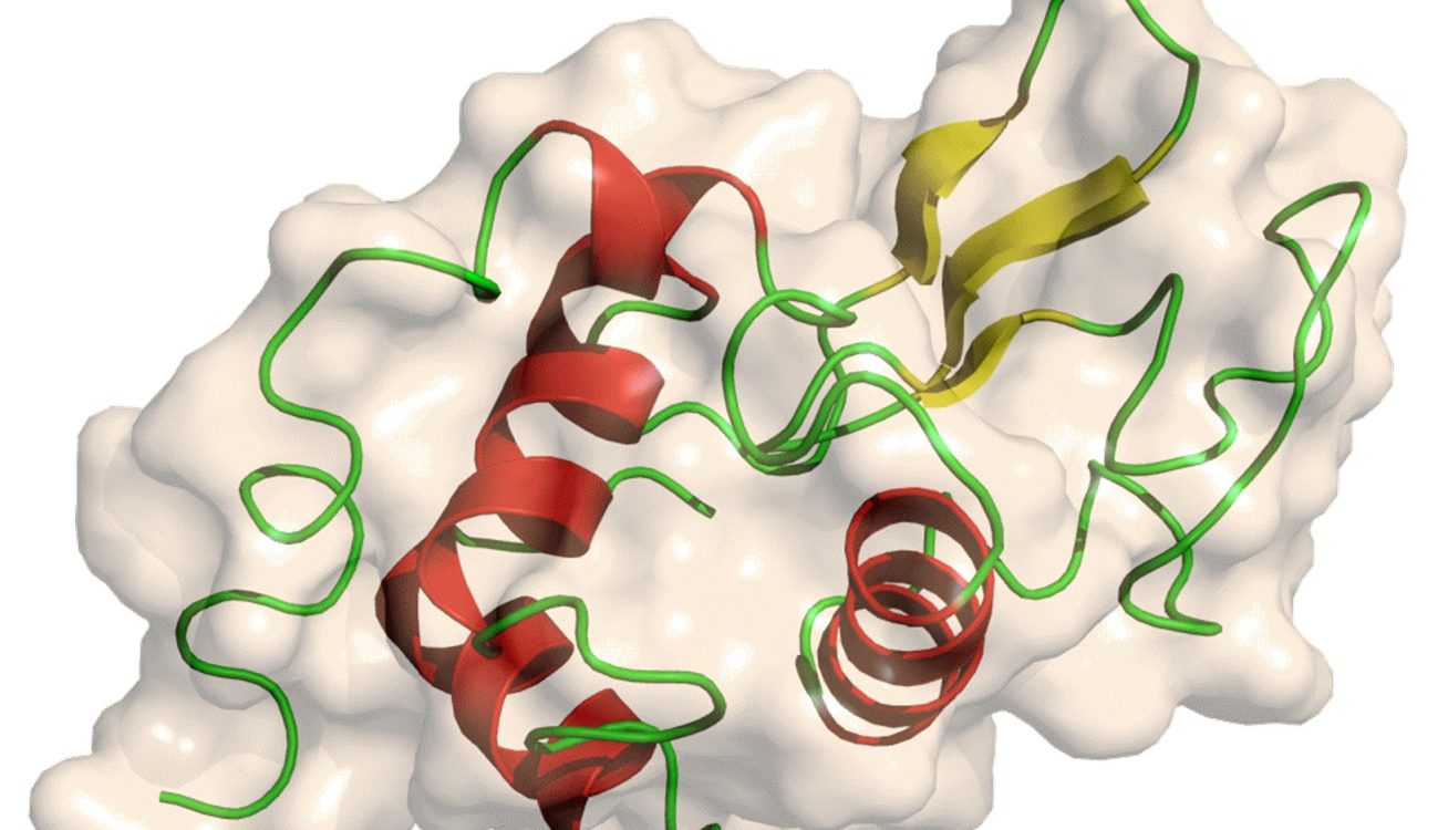 Lysozyme