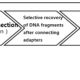 PCK85, Fast NGS Library Kit for Illumina, Schematic diagram of DNA database construction process