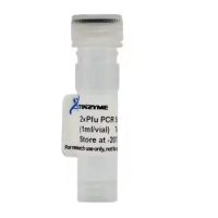 PCM11, 2x pfu PCR Super Master Mix