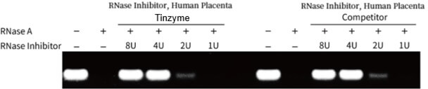 RI039, RNase inhibitor, Human Placenta, inhibitory effects Figure 1