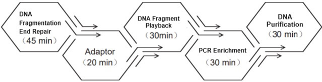 Schematic diagram of DNA database construction process