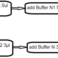 PCK243, Single Cell WGA Kit(MDA)