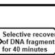 PCK239, NGS Fast DNA Library Prep kit for Ion Torrent