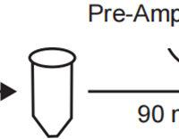 PCK244, Single Cell WGA Kit