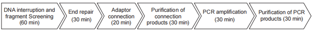 PCK85M, Fast NGS Library Kit for Illumina&MGI