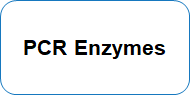 PCR & RT PCR Enzymes