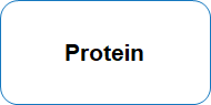 Protein Other Enzyme