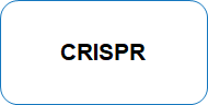 CRISPR